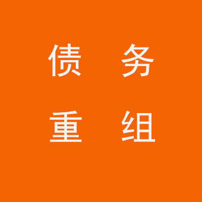岳麓个人债务重组优化